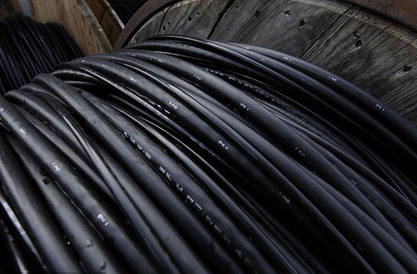 timg (3).jpg timg (3).jpg